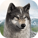 永久区域网名紧急通知中汉化版下载-永久区域网名紧急通知中汉化版2026最新版下载v1.0.71